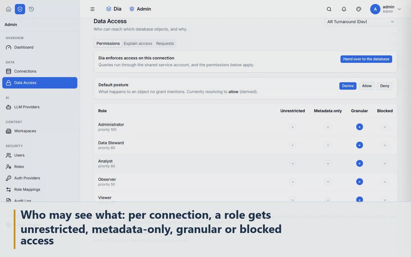 Who may see what: per connection, a role gets unrestricted, metadata-only, granular or blocked access